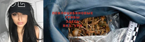 гашик Мегион