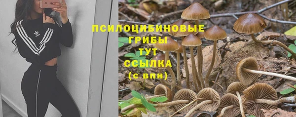 гидропоника Медвежьегорск