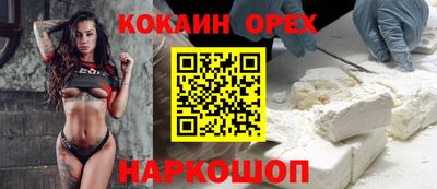 спиды Гатчина