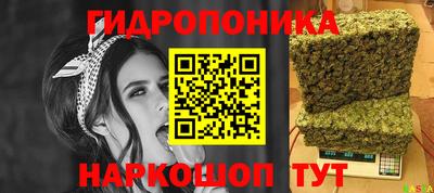 спиды Гатчина