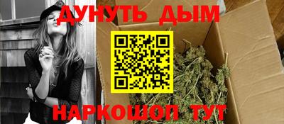 спиды Гатчина