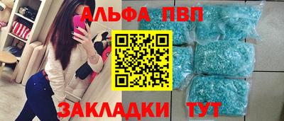 спиды Гатчина