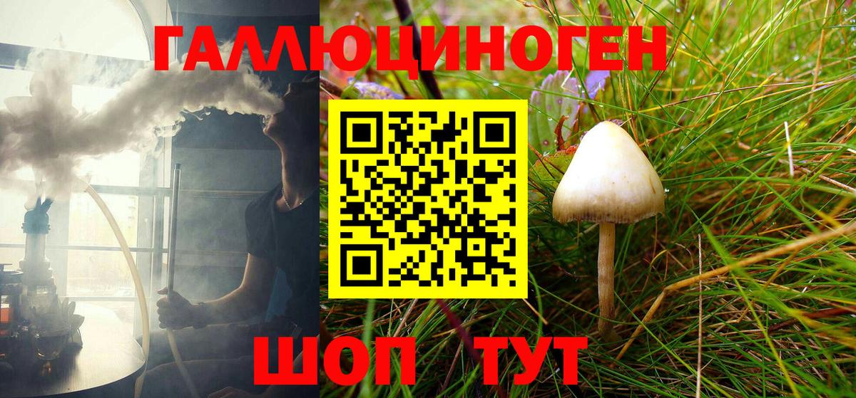 Дюртюли  Псилоцибиновые грибы MAGIC MUSHROOMS  Вход с VPN 