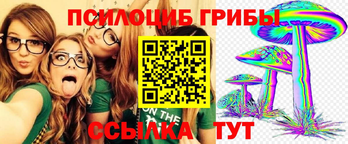 Псилоцибиновые грибы прущие грибы Дюртюли